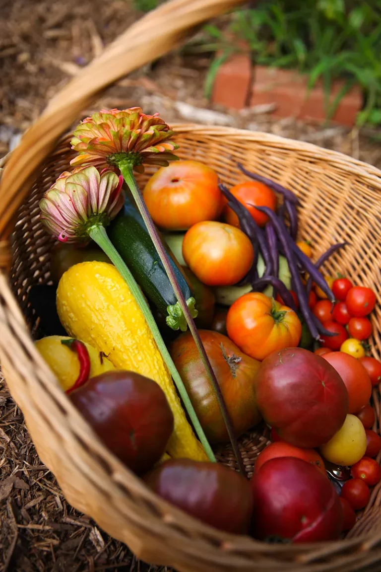 basket-veggies