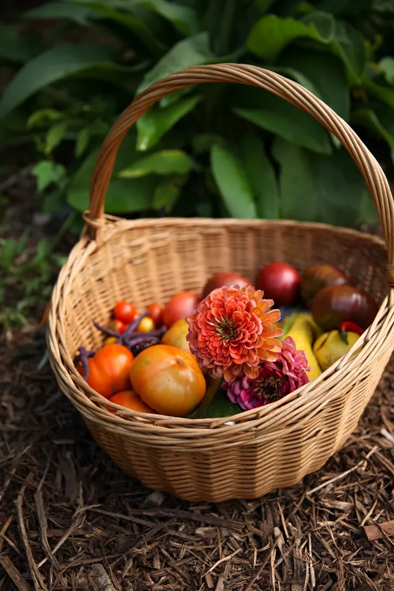 basket-veggies2