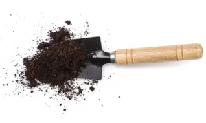 a trowel with garden dirt